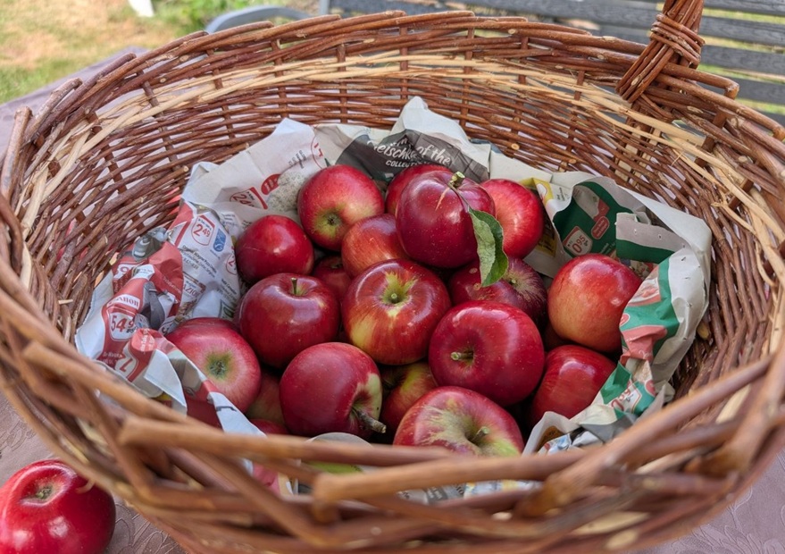 Apfelkorb aus der Schönmädchengasse